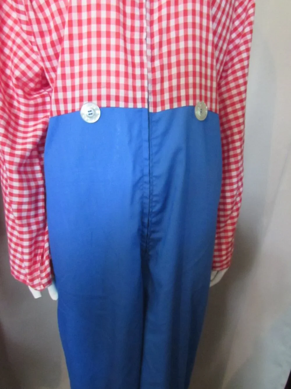 Raggedy Andy Adult Costume Red White Blue